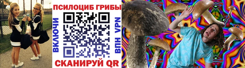 Галлюциногенные грибы Cubensis  Кирсанов 