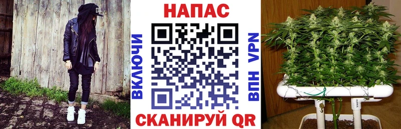 Марихуана тримм  Кирсанов 